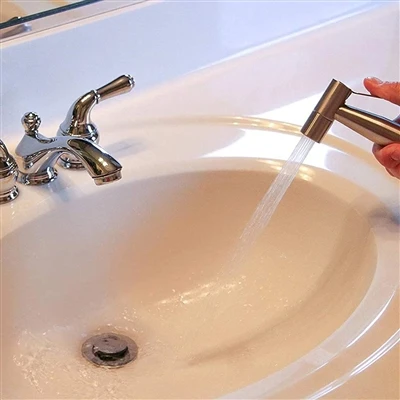 8 bidet-spray-fakta, du skal vide, når du får et bidet