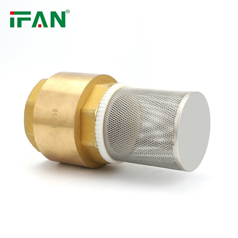 Brass Spring Water Check Valve best